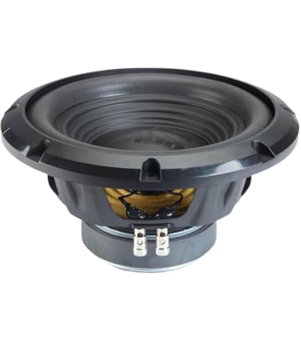 Amazon.com: Alpine W10S4 10-inch Single 4 Ohm Subwoofer Bundle